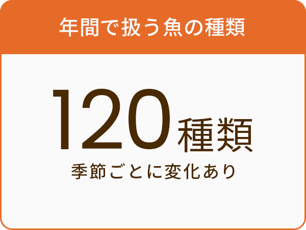 年間で扱う魚の種類120種類季節ごとに変化あり