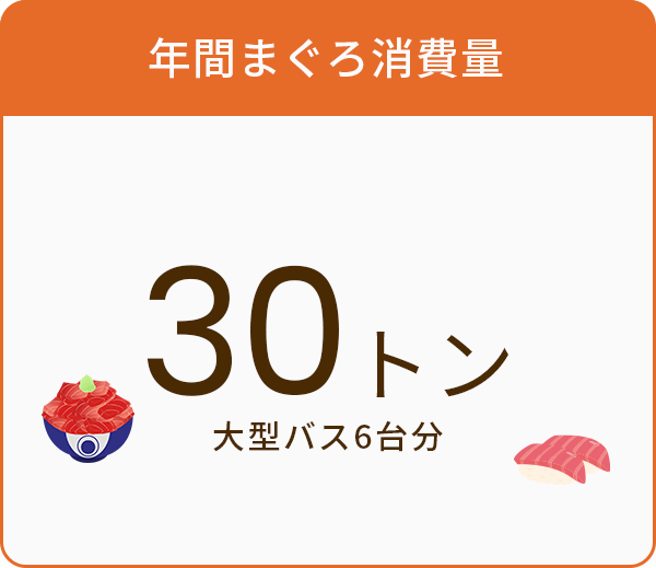 年間まぐろ消費量30トン大型バス6台分
