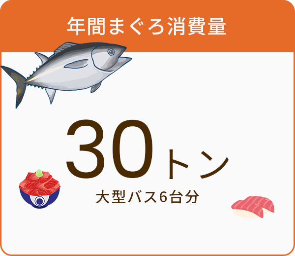 年間まぐろ消費量30トン大型バス6台分